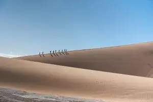 Lee más sobre el artículo Sé Tonto. Sé Honesto. Sé Amable. Abraza, Sonríe, Comparte, Agradece, Ama.