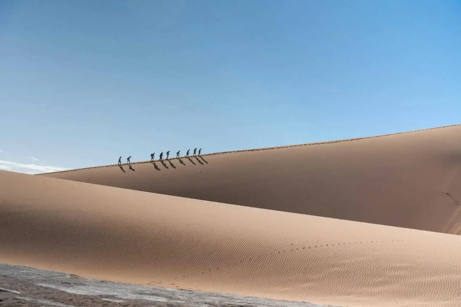 En este momento estás viendo Sé Tonto. Sé Honesto. Sé Amable. Abraza, Sonríe, Comparte, Agradece, Ama.