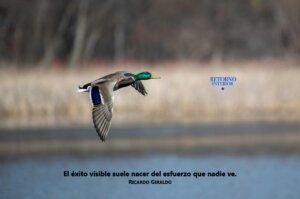 Lee más sobre el artículo La Persistencia Invisible: El Arte de Seguir cuando Nadie Mira