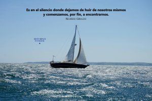 Lee más sobre el artículo Cuando el Silencio se Convierte en Presencia