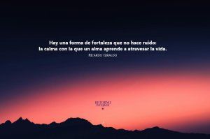 Lee más sobre el artículo La Calma: El Arte de Permanecer en Medio del Ruido